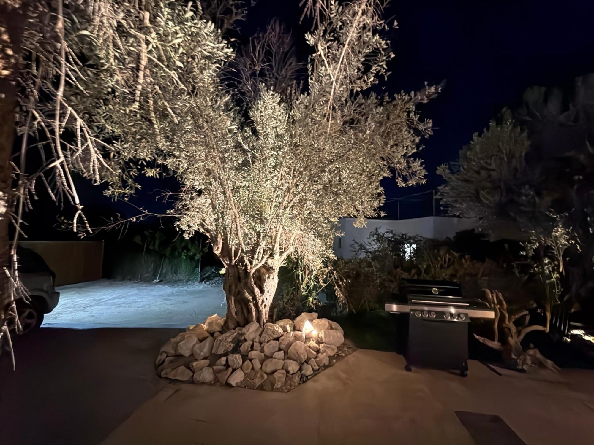 Gatsby Rhodes Brand New Exclusive Villas Asgourou Exterior foto